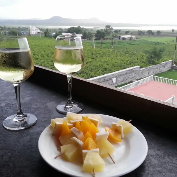 York Winery Pvt. Ltd. Vineyard in Nashik