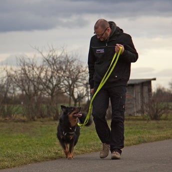 11/10/2014 tarihinde Der Hunde Coachziyaretçi tarafından Der Hunde Coach'de çekilen fotoğraf