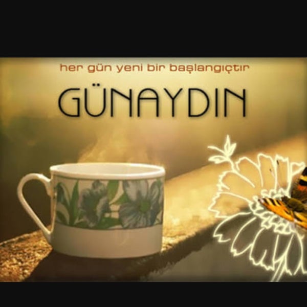 Aydın İnci Börek 4249 ziyaretçidan 9 tavsiye