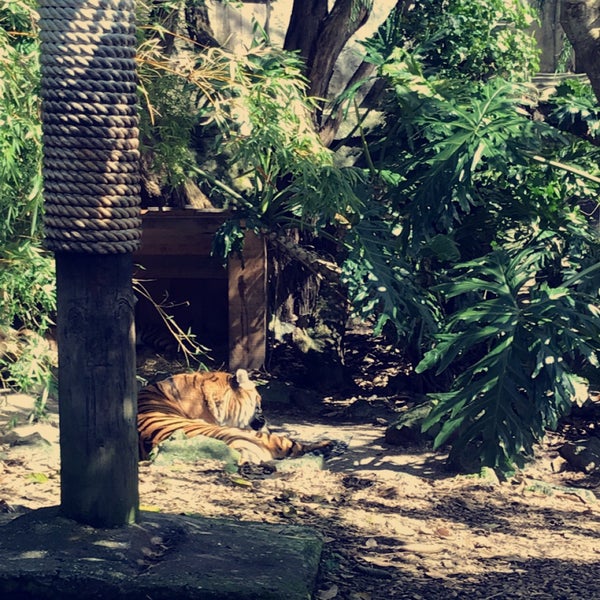 Foto diambil di Auckland Zoo oleh Sa&#39;ad pada 8/31/2018