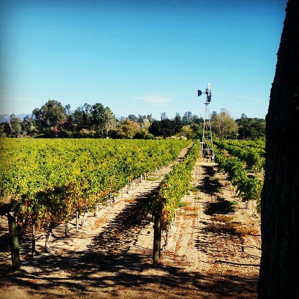 Photo taken at Lincourt Vineyards by Golden Rooster T. on 11/9/2014