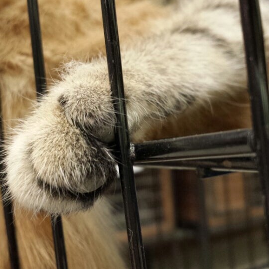 Fotos en Pet World Warehouse Outlet 2410 E Moreland Blvd