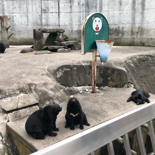 阿仁熊牧場 くまくま園 Zoo In 北秋田市