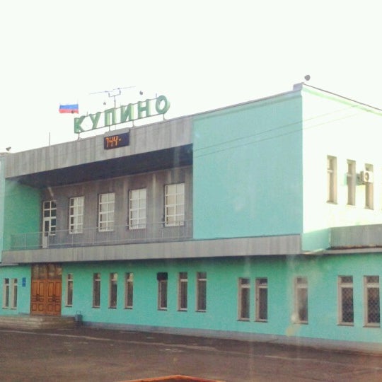 Стелла купино