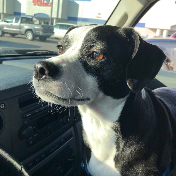 PetSmart Pet Supplies Store in Southwest Topeka