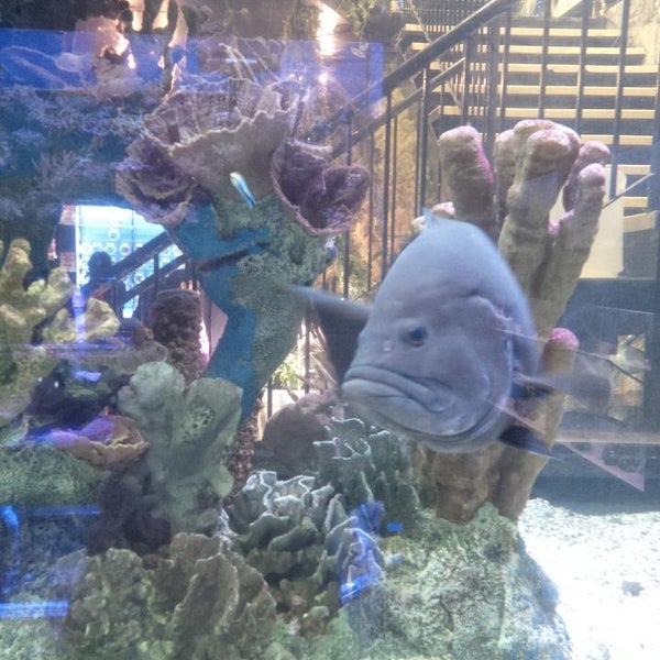 Big Al's Pet Supercentre Pet Store