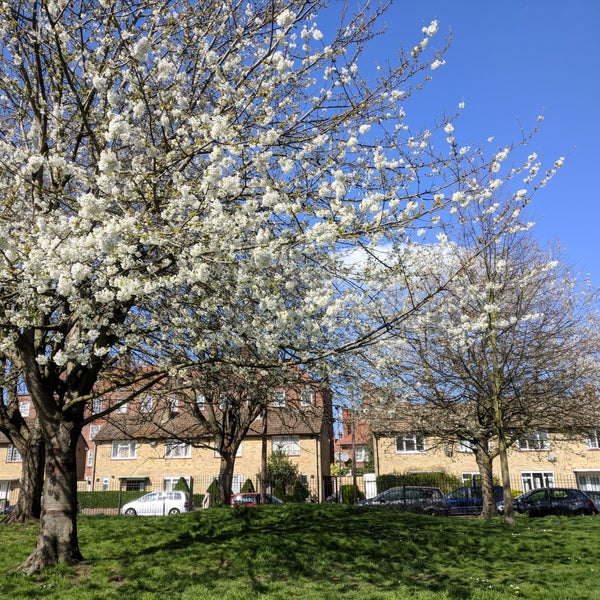 Photos at Frank Banfield Park - Park in Fulham Reach