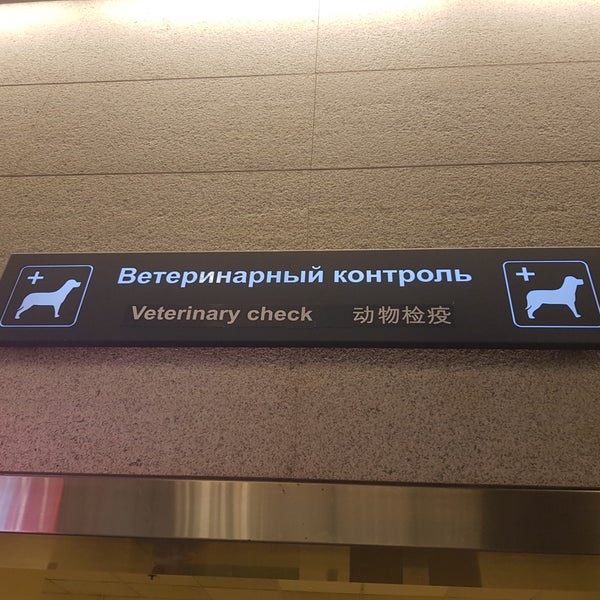 Решение 317 ветеринарный контроль. Решение 317 ветеринарный контроль