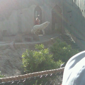 4/14/2012 tarihinde Lewis M.ziyaretçi tarafından Wolf Valley - Busch Gardens'de çekilen fotoğraf