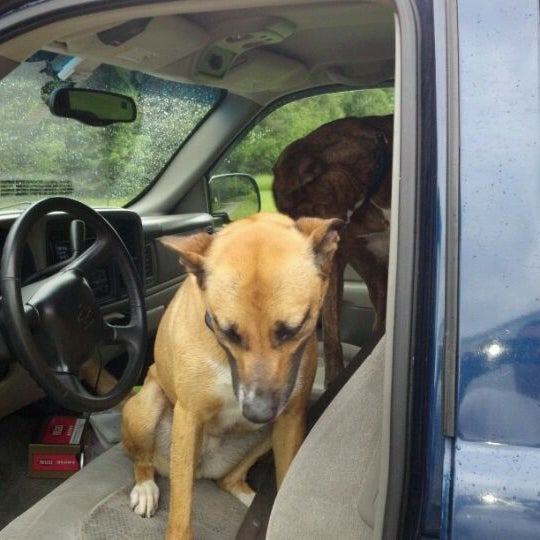 River Road Pet Care Pet Service in Putney