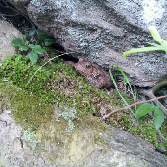 Photos at King and Queen Seat Jarrettsville, MD