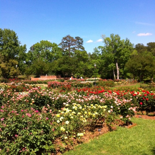 Tyler Rose Garden Garden