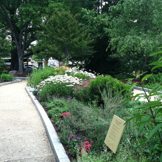 Smithsonian Butterfly Garden - Northwest Washington - 9 tips