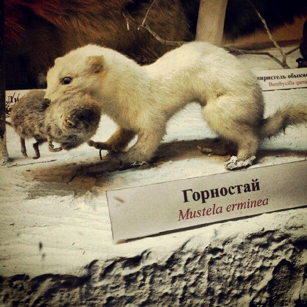Краеведческий музей ликино дулево