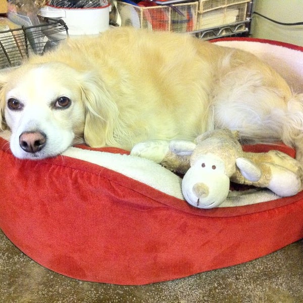 The Soap Kitchen Old Pasadena 25 N Fair Oaks Ave