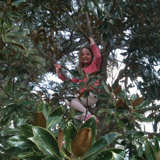 McCauley Park Ardsley Park Chatham Cresent 2 tips