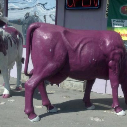 Photo prise au Purple Cow par Jennifer B. le3/14/2012
