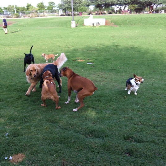 Tempe Sports Complex Dog Park 8401 S Hardy Dr.