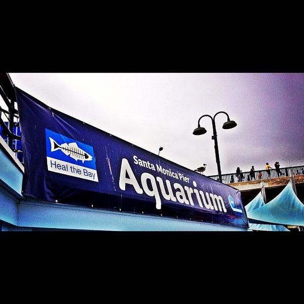 5/13/2012にKevin R.がSanta Monica Pier Aquariumで撮った写真
