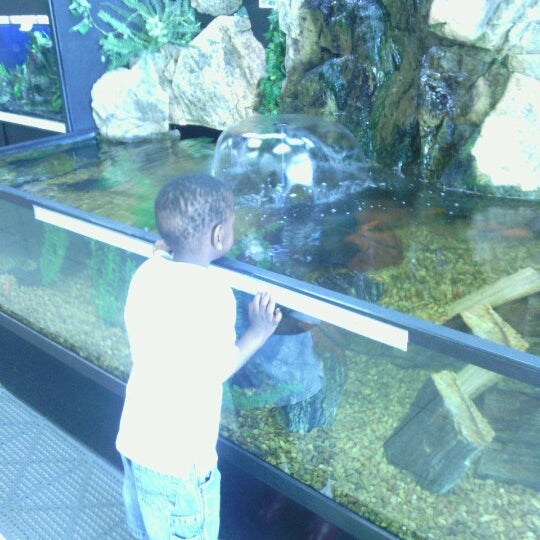 Jack's Pets 1 tip from 181 visitors