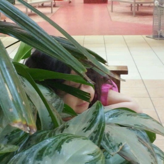 Photo taken at Stratford Square Mall by Michelle M. on 6/24/2012