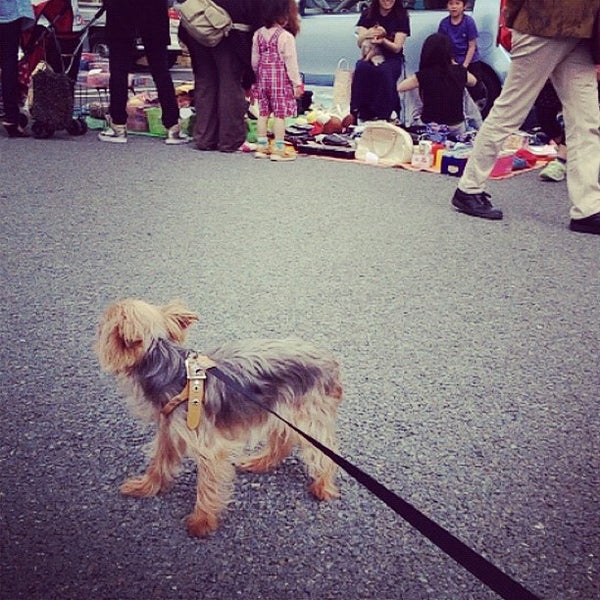 イオンタウン加古川 1つのtip