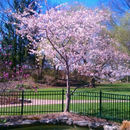 Shelter Insurance Gardens - Shelter - Columbia, MO
