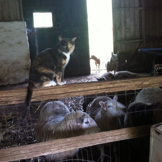 Das Foto wurde bei Ash Mill Farm Bed &amp; Breakfast von Nicole S. am 8/14/2011 aufgenommen