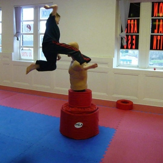 Единоборства и фитнес ганза