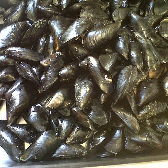 Foto scattata a Officina dei Sapori Ristorante di pesce da Fabio T. il 6/3/2012