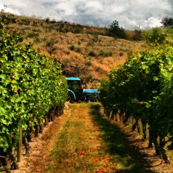 Photo taken at Hillside Winery by Parris on 7/22/2012