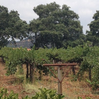 Photo taken at PlumpJack Winery by Danielle L. on 8/4/2012