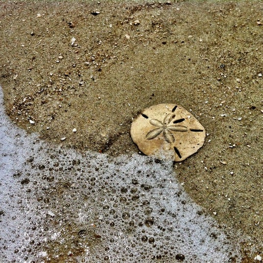 รูปภาพถ่ายที่ Sea Island โดย Nicole L. เมื่อ 6/1/2012