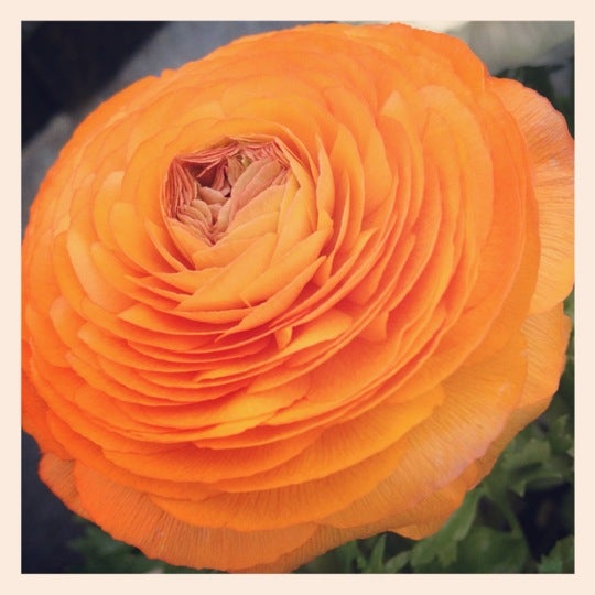 Photos at The Home Depot Hardware Store in Indianapolis