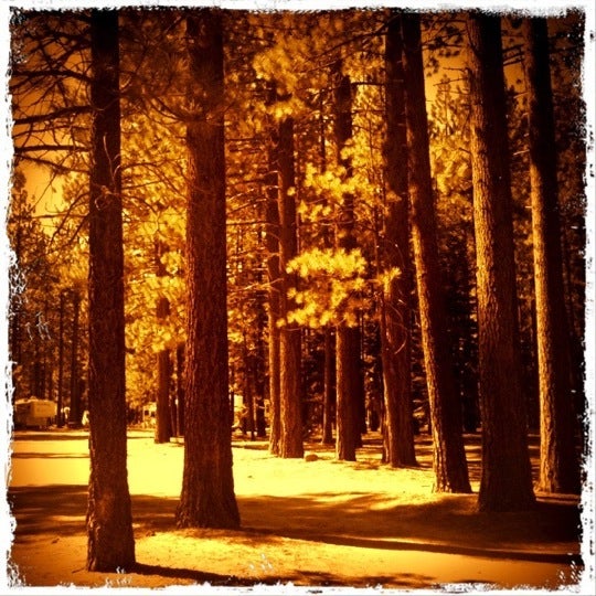 Photo taken at Tahoe Valley Campground by Lynn B. on 10/4/2011