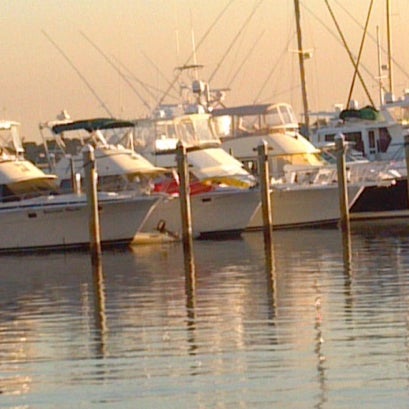 5/8/2012 tarihinde Melody F.ziyaretçi tarafından Marriott Hutchinson Island Beach Resort, Golf &amp; Marina'de çekilen fotoğraf