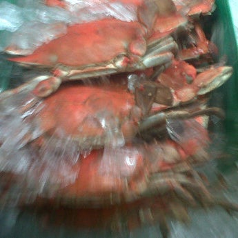 Photo taken at Blue Claw Seafood &amp; Crab Eatery by Steve P. on 9/9/2011