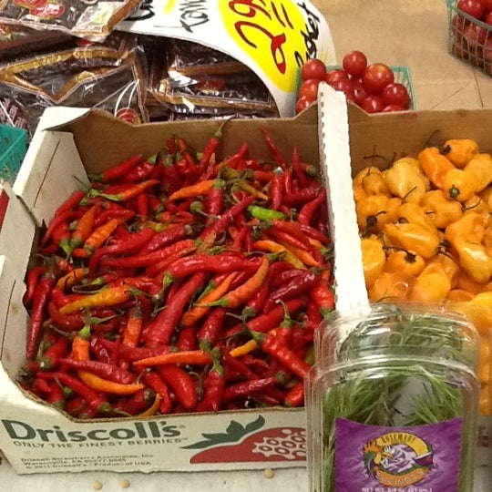 Farm Patch Bryan, TX