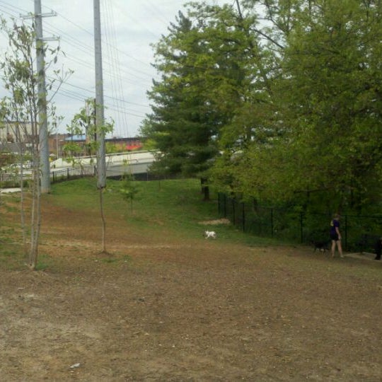 Photos at PetSafe Downtown Dog Park Dog Runs in Knoxville