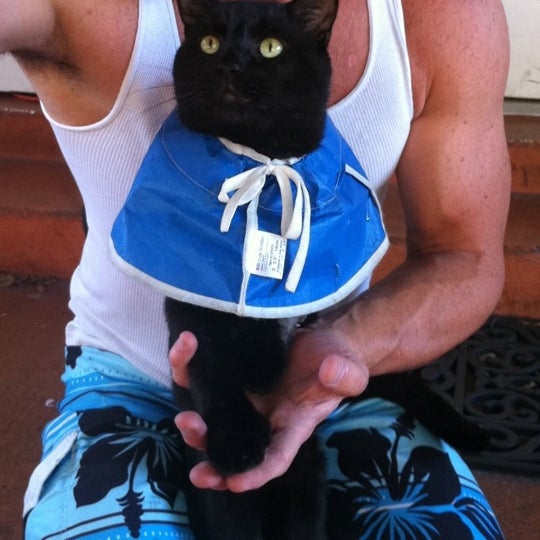 Photos at Lips Restaurant 49 tips from 1890 visitors