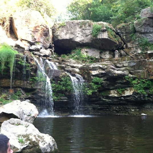 Are Dogs Allowed At Akron Falls Park