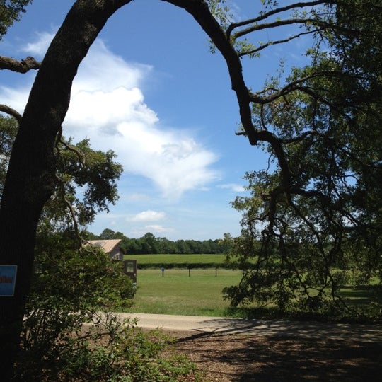 7/18/2012 tarihinde Katy O.ziyaretçi tarafından Charleston Tea Plantation'de çekilen fotoğraf