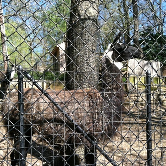 Foto diambil di Brandywine Zoo oleh Christine H. pada 4/2/2012