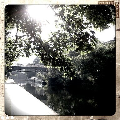 Such a beautiful morning by the canal today ... the cycling journey turned into such a pleasurable experience!