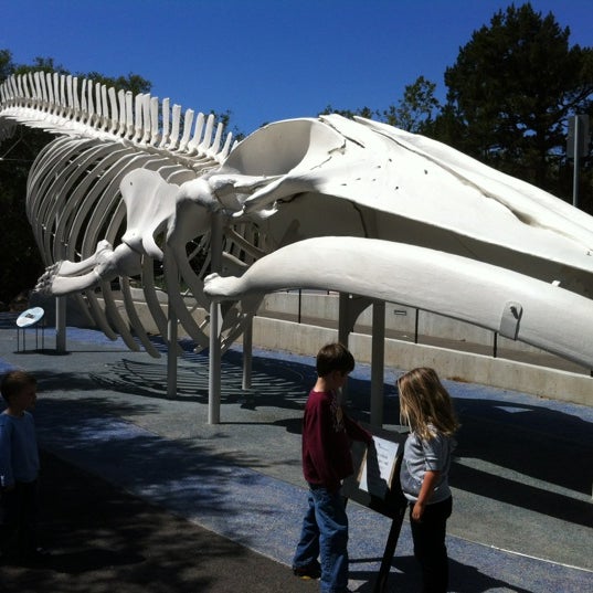 Photo taken at Santa Barbara Museum Of Natural History by Brent S. on 4/1/2012