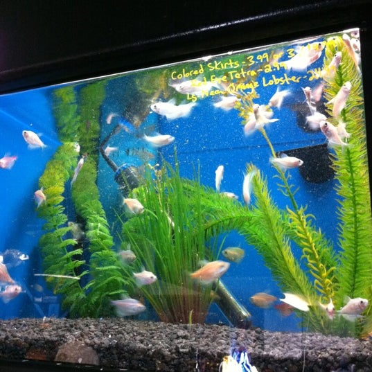 7 Seas Tropical Fish Pet Supplies Store in San Pedro