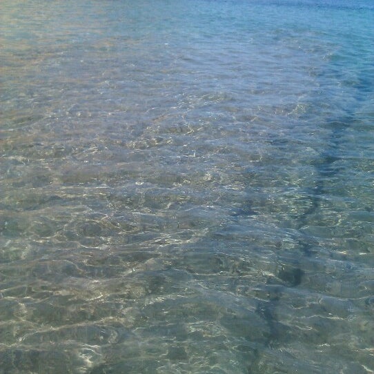 Calalga