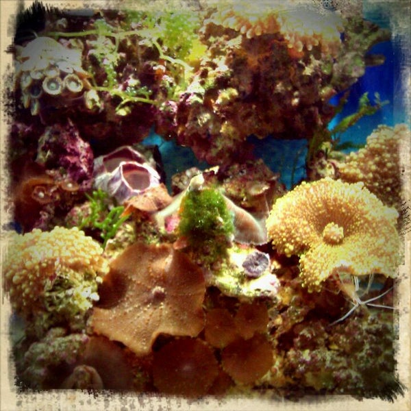 Clark Feed & Seed Central Business District 1326 Railroad Ave