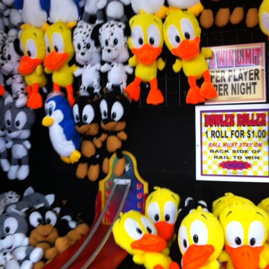 Washington Township Carnival Amusement Park in Turnersville