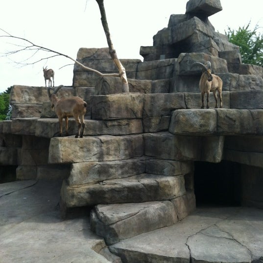 Racine Zoo - 13 tips from 1168 visitors